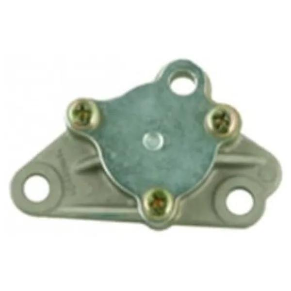 RAMZEY CUB YAĞ POMPASI