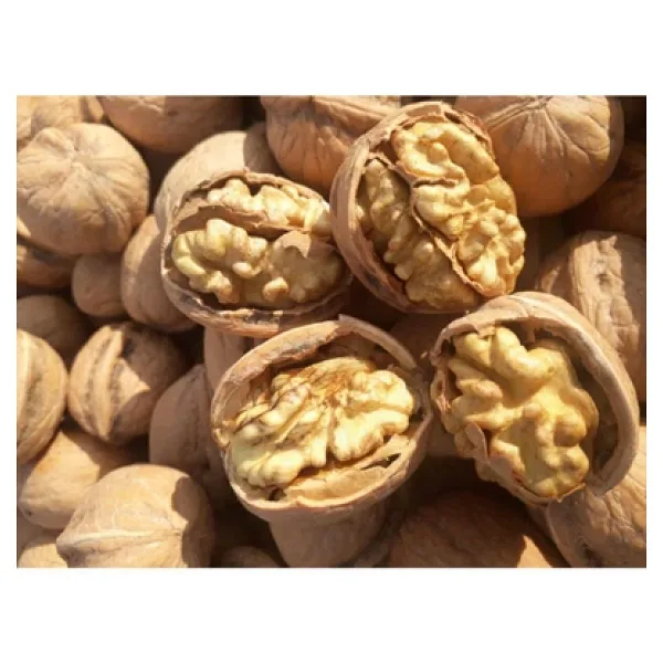 ÜNLÜ ŞİFA Double Boy Kabuklu Ceviz Yerli Yeni Mahsül Ince Kabuk 1kg