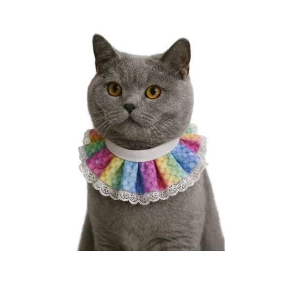 Coco Pet Prenses Yaka 3