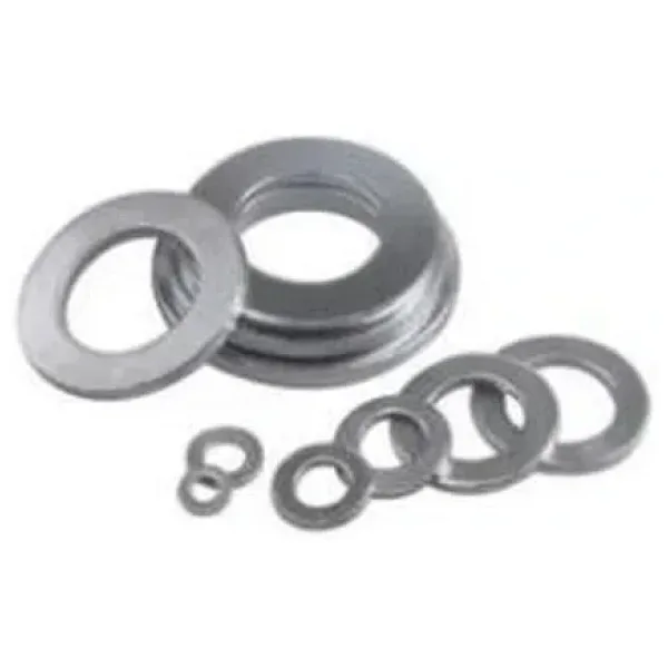 M5 DIN9021 Pul Beyaz Inox A2