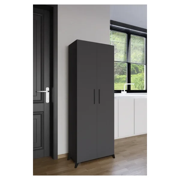 AYMOBSAN 2 Kapaklı Winter Boy Dolabı , Çok Amaçlı Dolap , Kiler Dolabı, Banyo Dolabı, Mutfak Dolabı Antrasit