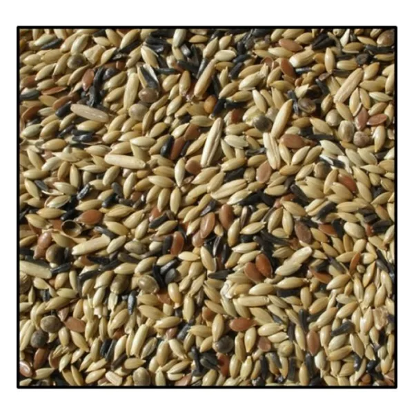 Karışık Kanarya Yemi Kaliteli Karışım Açık Lüx 1 Kg