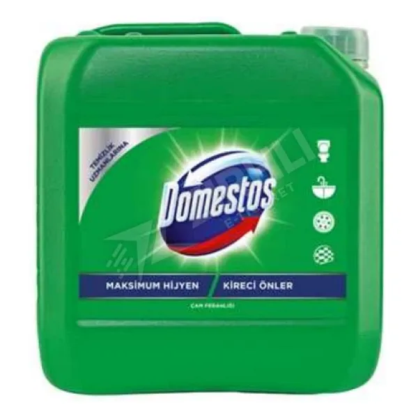 Domestos Dağ Esintisi Çamaşır Suyu 5 lt