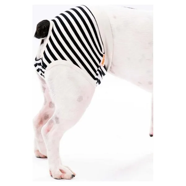 Pawstar Black Striped Kedi-Köpek Çamaşırı Regl Kilodu Kedi-Köpek Kıyafeti - Siyah - 2