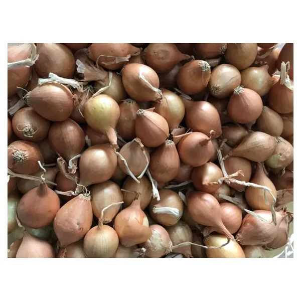 Yerli Arpacık Soğan 5 Numara (1 Kg)
