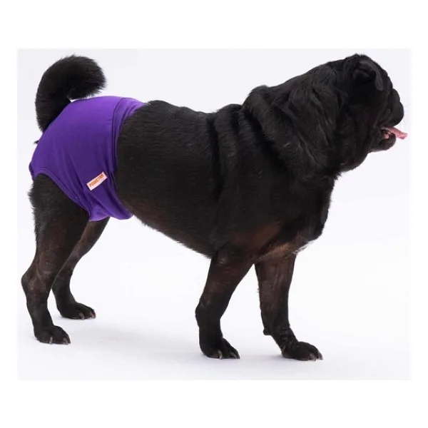 Pawstar Mor Kedi-Köpek Çamaşırı Regl Kilodu - 2