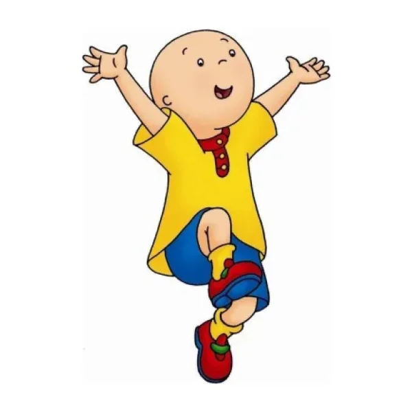 Alfa Caillou Lüks Ambalaj Kağıdı Laklı 60Cm X 200Cm (Defter Kabı) Asorti Tekli (1 Adet)