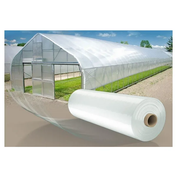 36 AYLIK 350 MİCRON SERA NAYLONU 6m X 8m