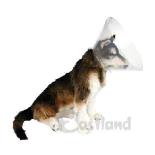 Eastland Yakalık(Elizabet) 30 cm