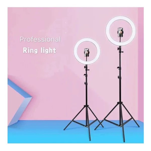 LESGO 12 inç Ring Light Youtuber Tiktok Çekim Tripod Işıklı Telefon Tutucu Makyaj Işığı 2.1 Mt Tripod