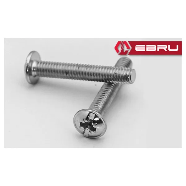 Yuvarlak Yıldız Başlı Rysb Kulp Vidası, Civata M4x10 - 500 Adet