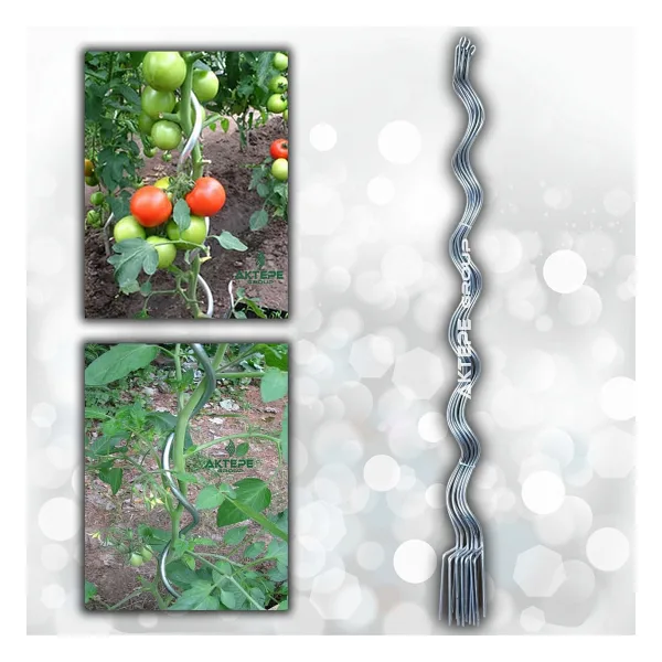 Aktepe Group 20 Adet 150 Cm Metal Spiral Bitki Destek Çubuğu Hobi Bahçesi Bitki Bağlama Teli Sebze ve Çiçek Teli