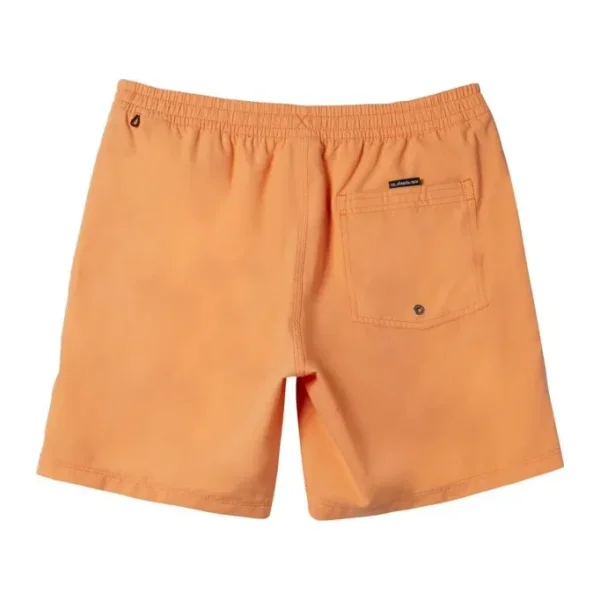 Quiksilver Everyday Solid Volley 15 AQYJV03153 Erkek Deniz Şortu