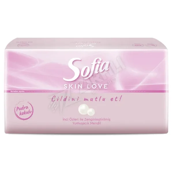 Sofia Skin Love Pudra Kokulu Mendil 100'lü 4 ADET