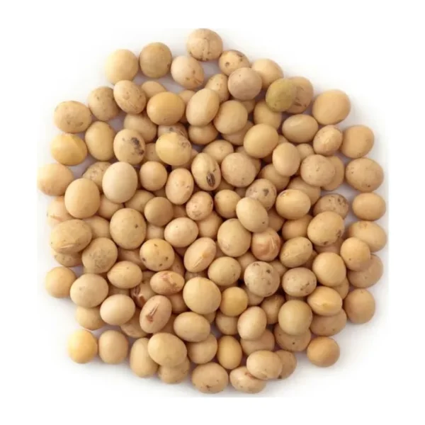 SOYA FASULYESİ 1 KG