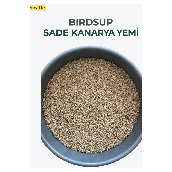 Birds Up Sade Kanarya Yemi 25Kg