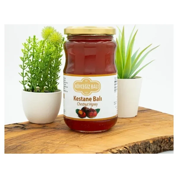 Köyceğiz 450 gr Kestane Balı