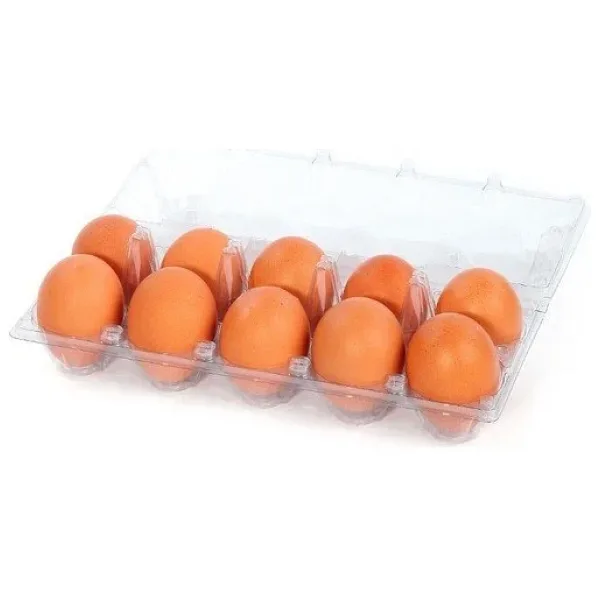 Yumurta Viyolü 10 lu. 100 Adet