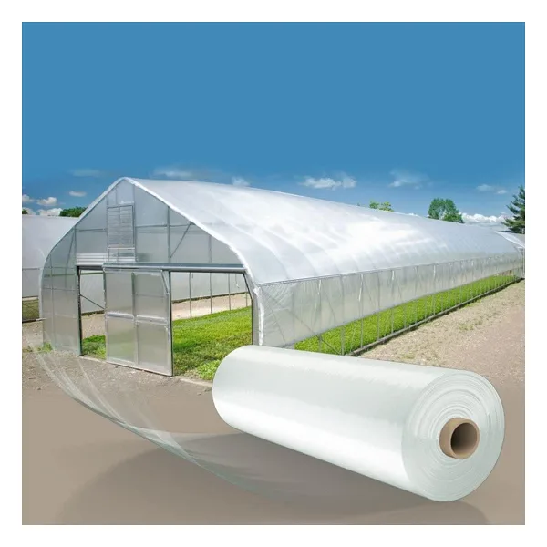 36 AYLIK 350 MİCRON SERA NAYLONU 10m X 25m