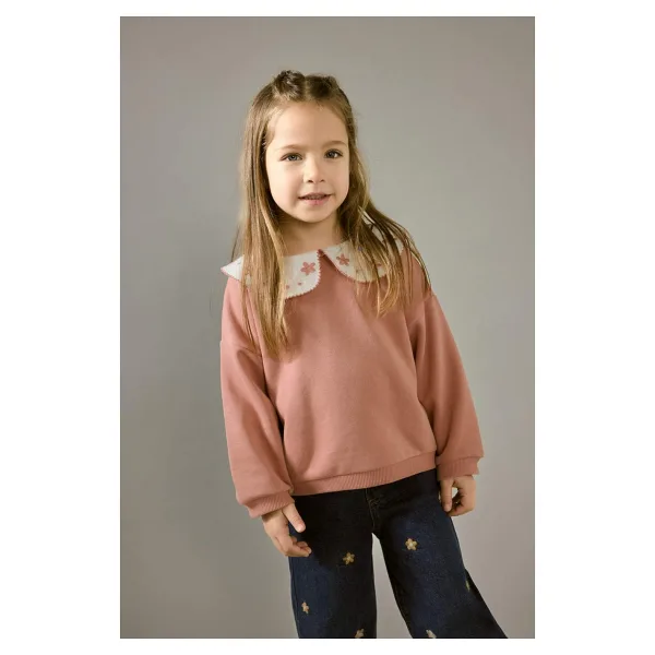 DeFacto Oversize Geniş Kalıp Büyük Yaka Çiçekli İçi Yumuşak Tüylü Sweatshirt Kız Bebek G6838A525CW - Pembe-PN10 - 9 - 12 Ay