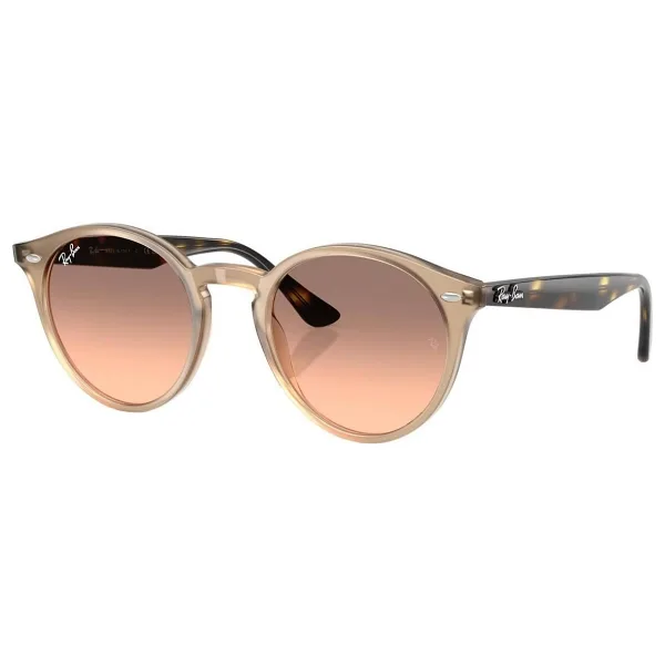 Ray-Ban 2180 678846 Turtledove-Pink Güneş Gözlüğü