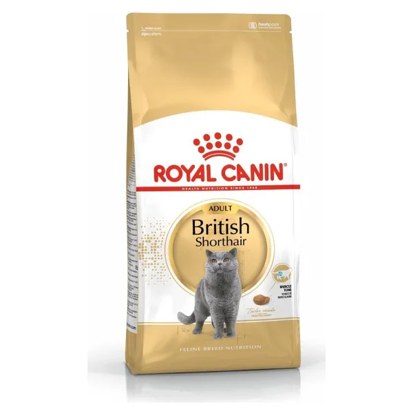 Royal Canin British Shorthair 4 kg Yetişkin Kedi Maması