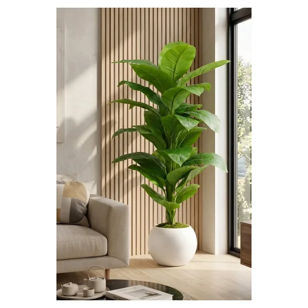 160 cm Yapay Difenbahya Ağacı - 30x30 Küre Saksılı