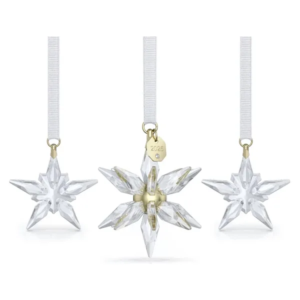 5701628 Swarovski Ev Dekorasyonu Annual Edıtıon:ornament Set 3d 2025