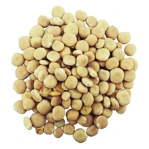 Dökme Bakliyat Acı Bakla/Yahudi Baklası - 100 gr