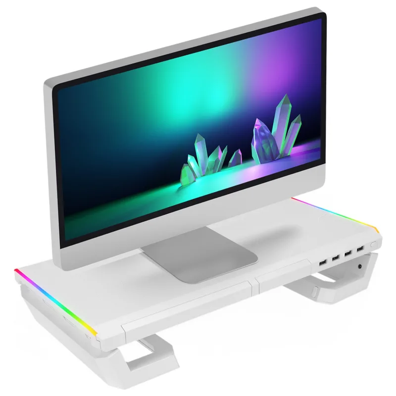 Everest ST1 RGB Katlanabilir Yükseklik Ayarlı Monitör Standı