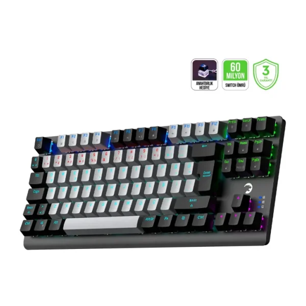 Gamepower Eva 3 TKL Blue Switch Kablolu Mekanik Oyuncu Klavyesi