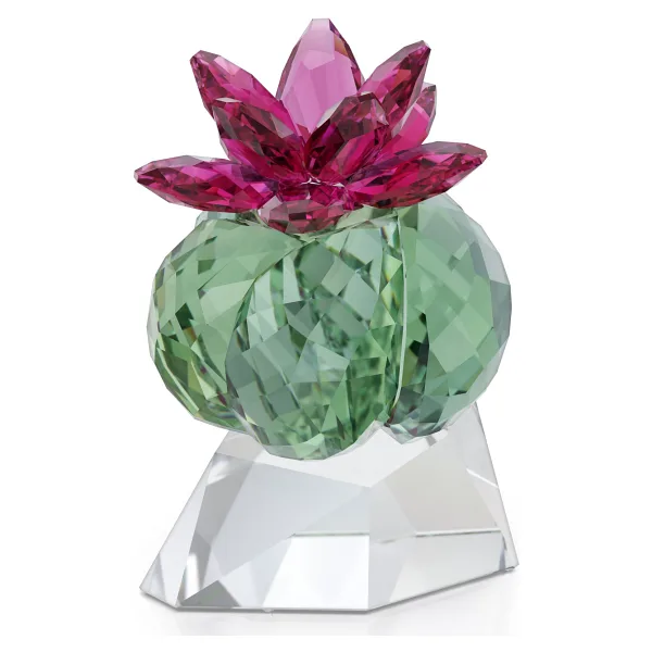 5426978 Swarovski Ev Dekorasyonu Crystal Flowers:Bordeaux Cactus