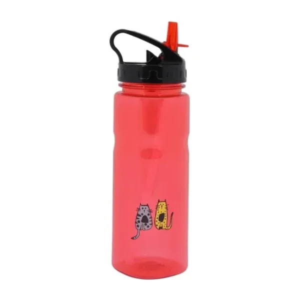 Biggdesign BiggYoga Aura 650 ml Tritan Su Şişesi