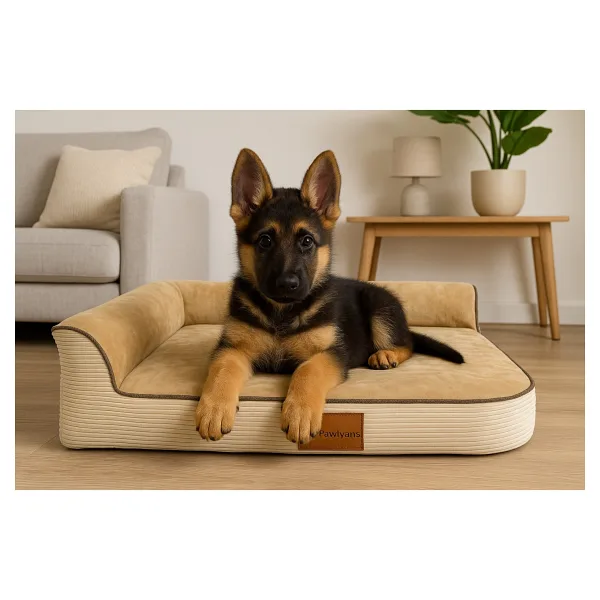 Bolster-L Üst Kalite Köpek Yatağı Süngerli Sıvı Geçirmez Alezli. %100 Elyaflı. 2 Fermuarlı - 69 x 92 cm - Krem