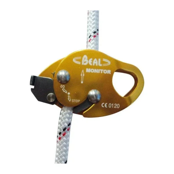 Beal Monıtor