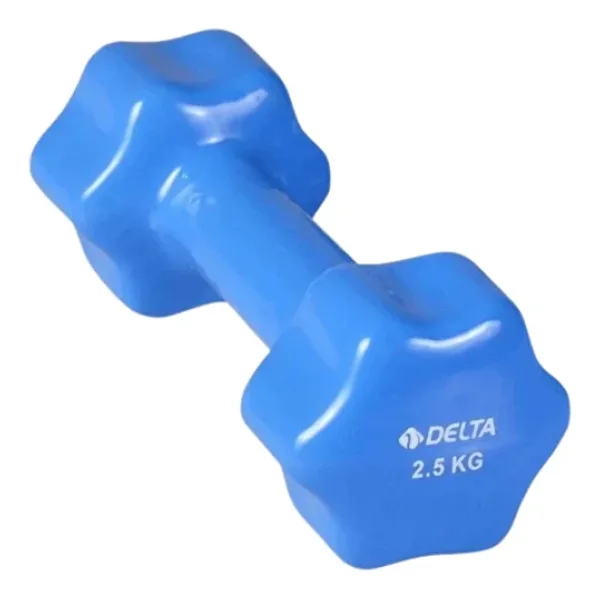 Delta 2,5 Kg Pvc Dambıl Ağırlık