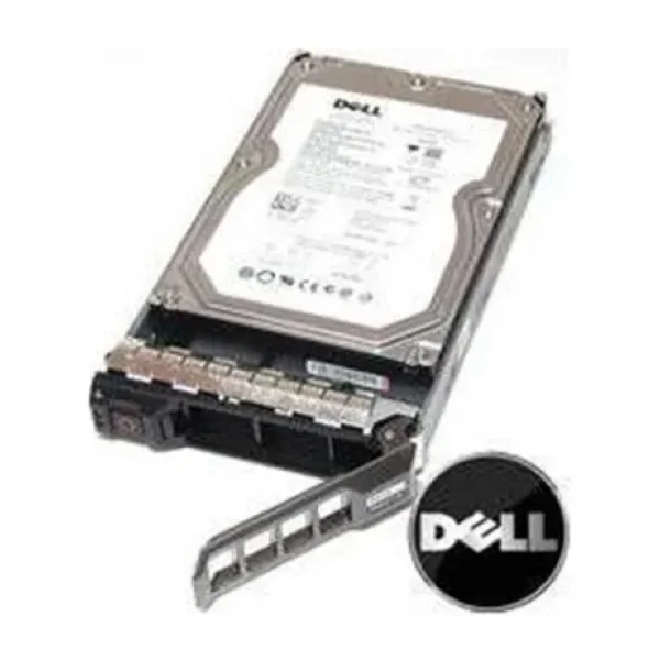 Dell 600 GB 13025H15SAS-600G Sunucu Sabit Disk