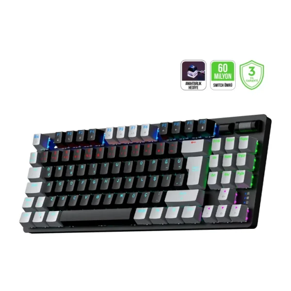 Gamepower Eva 5 TKL Red Switch Kablolu Mekanik Oyuncu Klavyesi