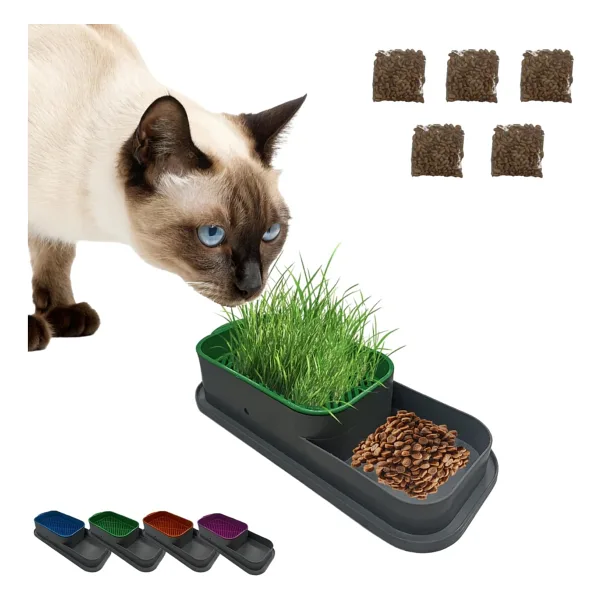 MADPET Topraksız Kedi Çimi Kabı Turuncu - 5 Paket Çim Tohumlu Hidroponik Çim Yetiştirme Seti - Kediler için Doğal Çim Yetiştirme Kutusu - Evde Kolay Çimlendirme ve Sindirim Desteği