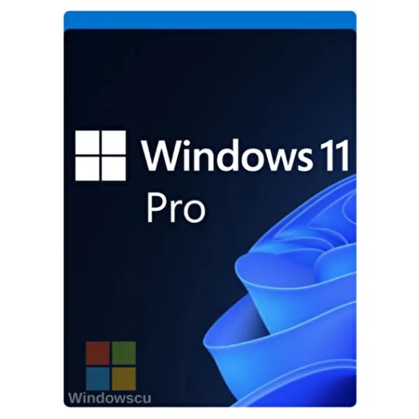 Microsoft Windows 11 Pro Key Dijital Ürün Anahtarı Lisans Key WIN11PRO 2025 - Retail