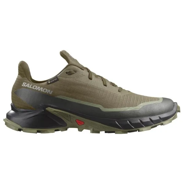 Salomon Alphacross 5 Gore-Tex Erkek Koşu Ayakkabısı