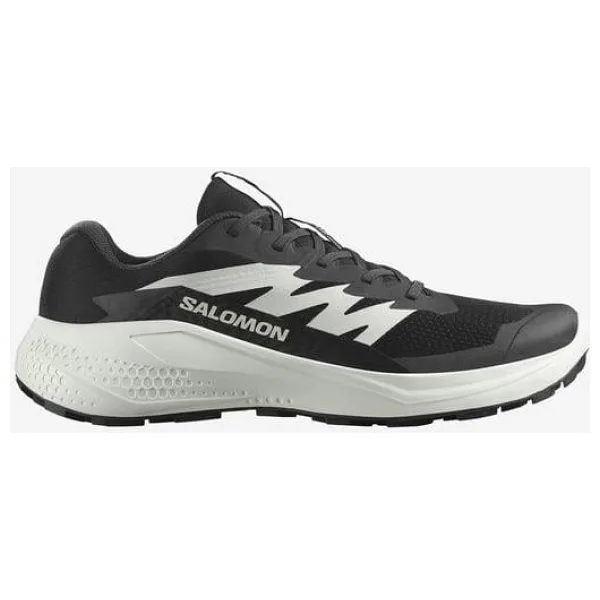 Salomon Alphaglide Erkek Koşu Ayakkabısı