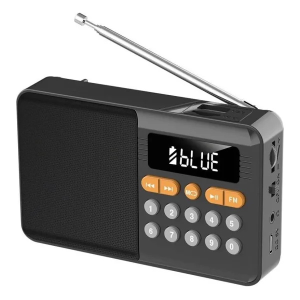 Rose Sp-604 Şarjlı Bluetooth Wirelles Fm Radyo Hoparlör