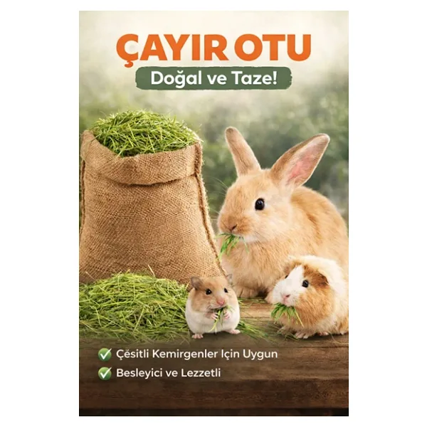 Doğal Çayır Otu Kemirgen Yemi Tavşan Hamster Ginepig Chinchilla Doğal Kurutulmuş Kemirgen Otu 400 Gr