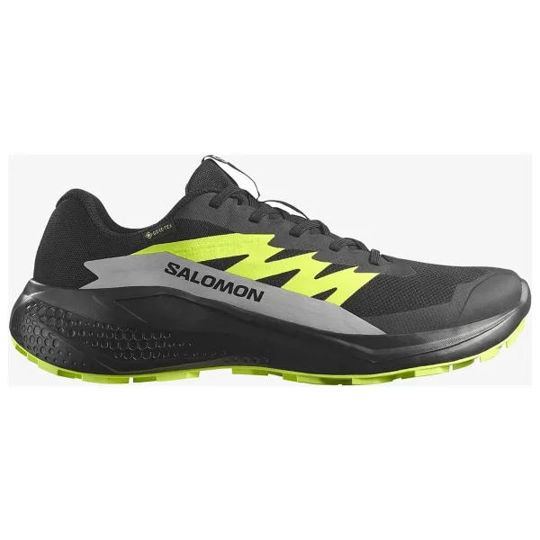 Salomon Alphaglide Gore-Tex Erkek Koşu Ayakkabısı