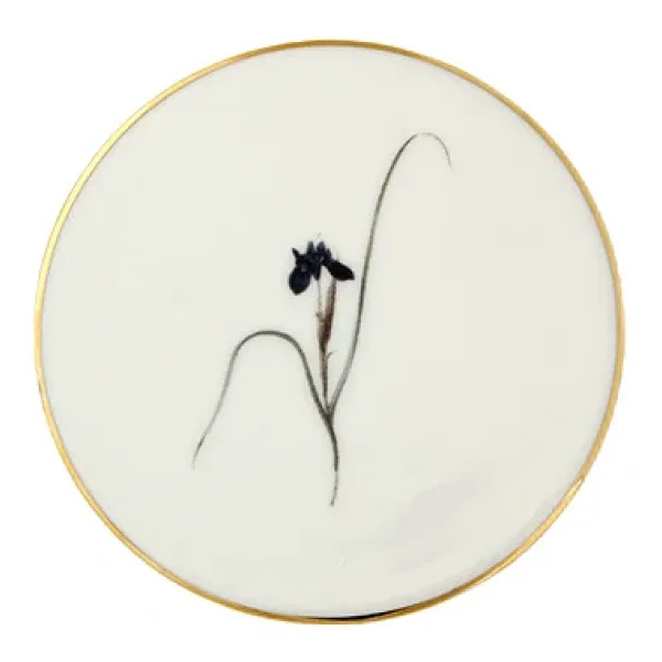 Porland Botanical Desen 6'lı Bardak Altlığı 10 cm 04ALM006633