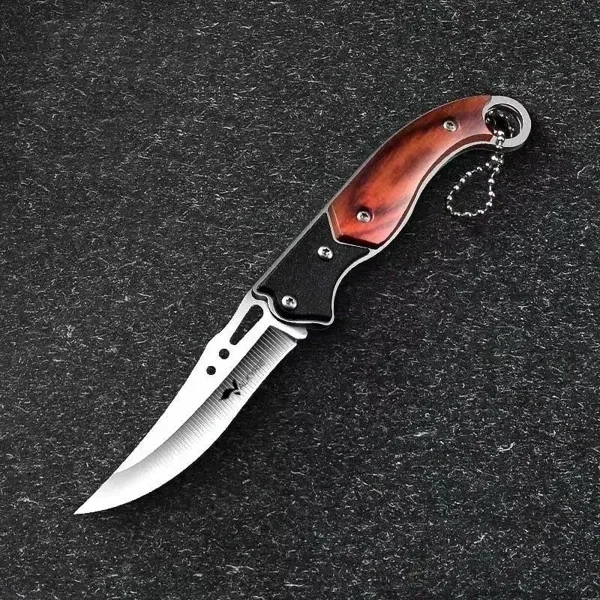 Valkyrie Paslanmaz Çelik Mini Katlanır Bıçak - Kavisli Keskin Bıçak, Plastik Tutma, Anahtarlık Halkalı