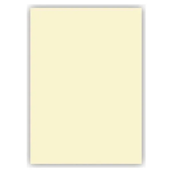 Bigpoint Fon Kartonu 50x70cm 160 Gram Fildişi 100'lü Paket