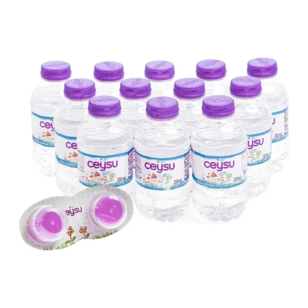 Ceysu Doğal Kaynak Suyu 12x200 Ml