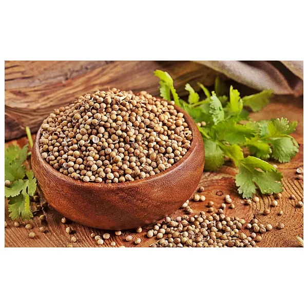 Dökme Baharat Kişniş Tane 250 gr